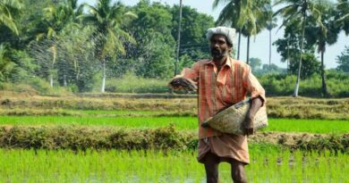India: Cabinet Approves Nutrient-Based Subsidy Rates for Rabi 2025-26 on Phosphatic and Potassic Fertilizers