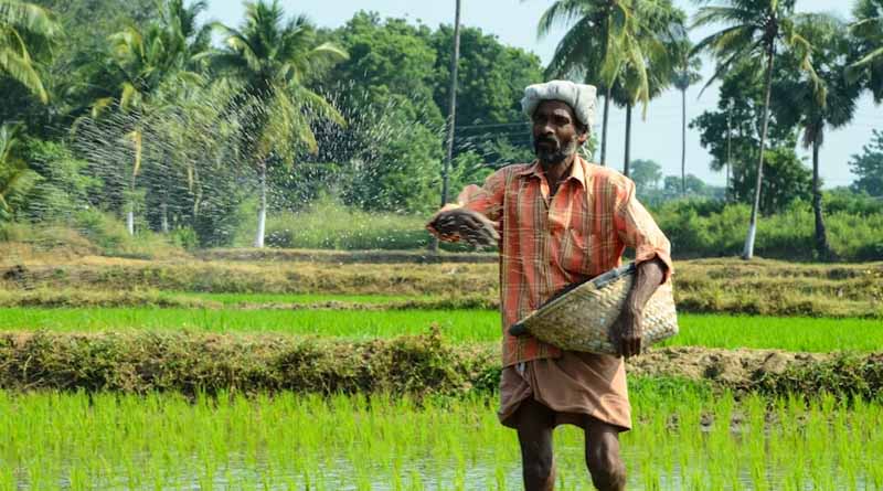 India: Cabinet Approves Nutrient-Based Subsidy Rates for Rabi 2025-26 on Phosphatic and Potassic Fertilizers