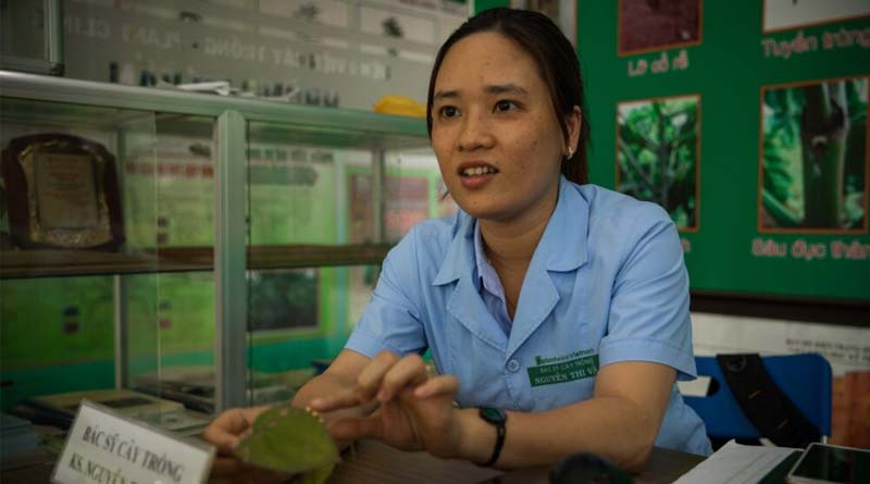 PlantwisePlus: Growing Knowledge, Skills And Resilience Across Vietnam