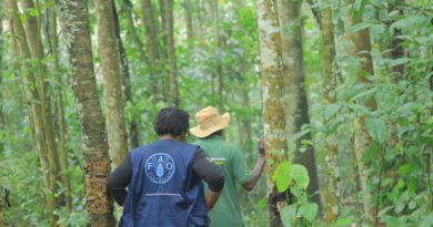 Uganda Secures $31 Million From Green Climate Fund For Africa’s First Results-based Climate Project Uganda Secures $31 Million From Green Climate Fund For Africa’s First Results-based Climate Project