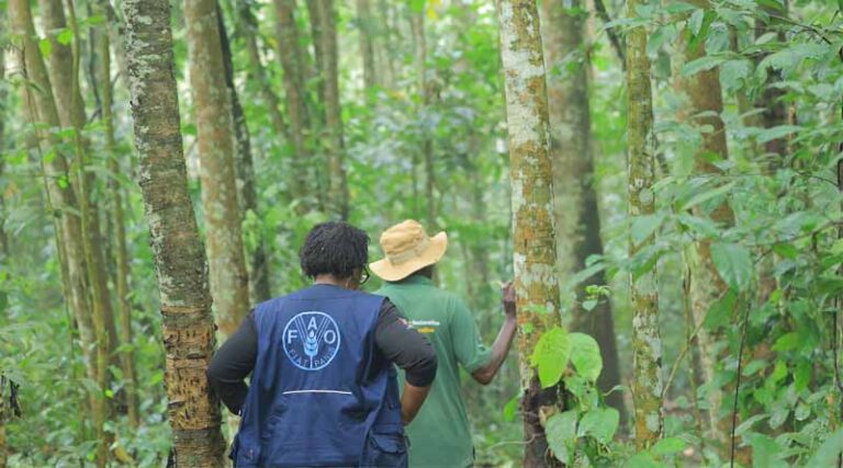 Uganda Secures $31 Million From Green Climate Fund For Africa’s First Results-based Climate Project