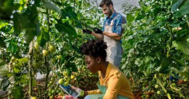 CABI Launches An Evidence Synthesis Skills Framework To Strengthen Global Capacity In Evidence Synthesis