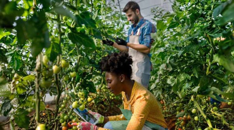 CABI Launches An Evidence Synthesis Skills Framework To Strengthen Global Capacity In Evidence Synthesis