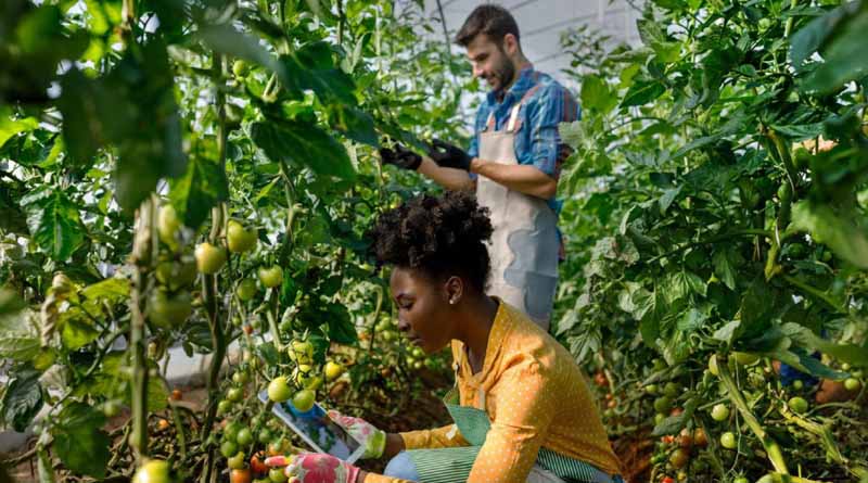 CABI Launches An Evidence Synthesis Skills Framework To Strengthen Global Capacity In Evidence Synthesis