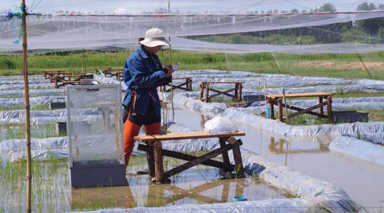 Xi Cao appointed head of ADB-CGIAR Clearing House Facility To Accelerate Agri-innovation And Investment