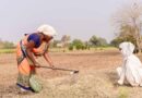 Managing Waste, Cultivating Health: A Sustainable Path for Rural Chhattisgarh