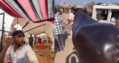 Pushkar Fair 2025: ₹10-Crore Horse ‘Badal’ and ₹23-Crore Buffalo ‘Anmol’ Steal the Spotlight