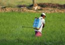 Haryana Agriculture Minister meets Governor of Narok County, Kenya to Strengthen Agricultural Cooperation