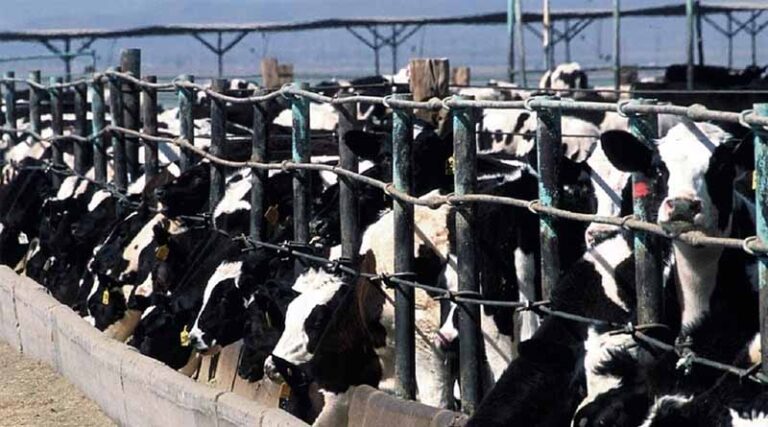 Appeal Filed Over Court Decision Allowing Trump EPA To Suppress Information About Factory Farm Air Pollution