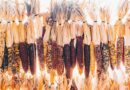 Mayan Farming: Ancient Wisdom Shaping the Future of Sustainable Agriculture