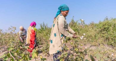 Kharif Crop Sowing in India Exceeds Last Year’s Area Coverage, Reaching 1121.46 Lakh Hectares