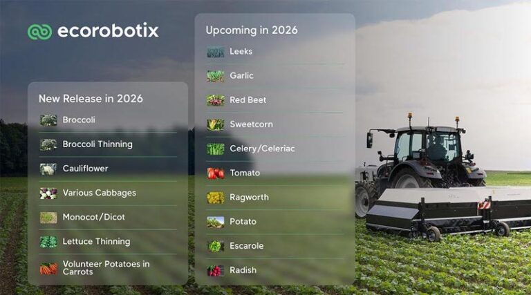 Ecorobotix Opens the Door to Ultra-High Precision (UHP) Treatment in Vegetable Farming