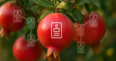 Inside China’s Blockchain Pomegranate Project: Every Fruit Gets a Digital ID