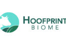 NC State University Spinout Hoofprint Biome Raises $15M to Cut Methane in Livestock