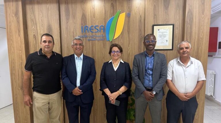 Advancing Olive Tree Crop Research and Soil Health in Tunisia