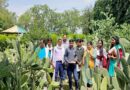 Farmers Learn Spineless Cactus Cultivation - A Sustainable Option for Drought-Prone Regions