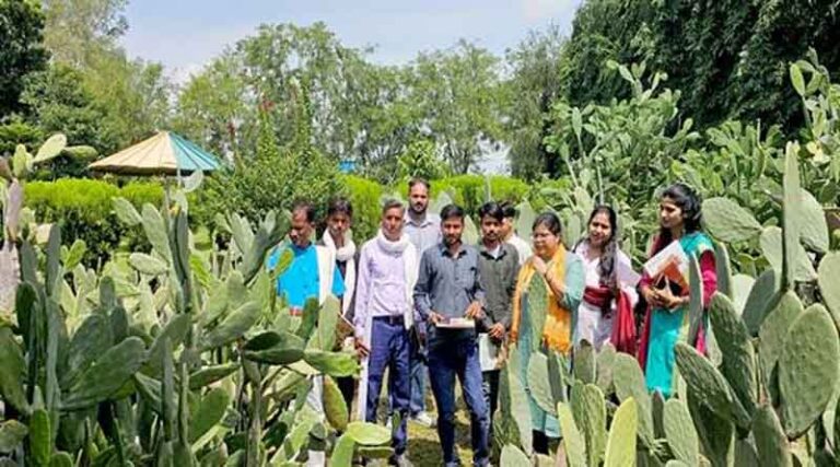Farmers Learn Spineless Cactus Cultivation - A Sustainable Option for Drought-Prone Regions