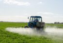 Atrazine Poses No Risk of Extinction to Endangered Species, According to Trump Administration