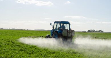 Atrazine Poses No Risk of Extinction to Endangered Species, According to Trump Administration