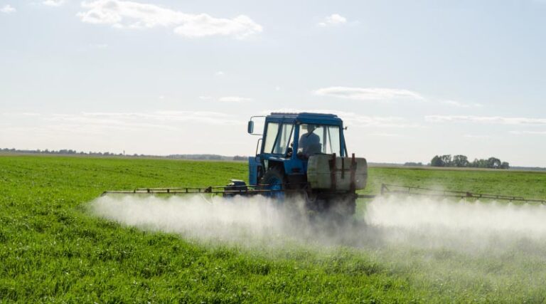 Atrazine Poses No Risk of Extinction to Endangered Species, According to Trump Administration