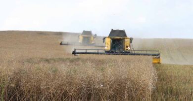 China Rushes Farm Machinery To Key Grain Belt As Rain Threatens Harvest