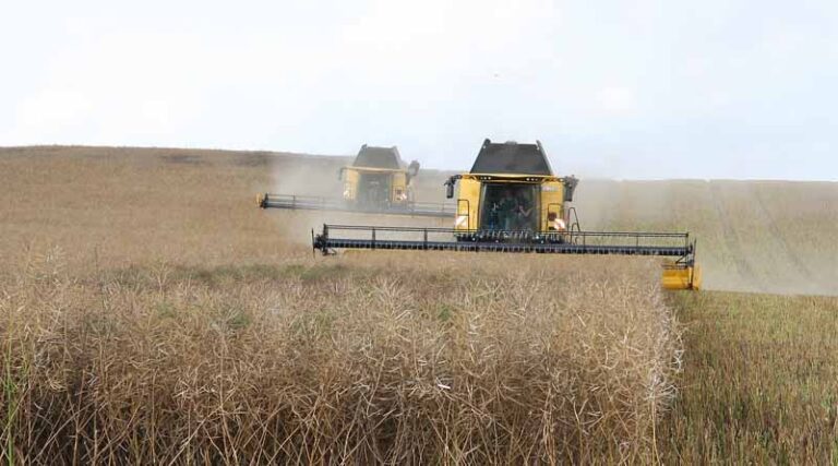 China Rushes Farm Machinery To Key Grain Belt As Rain Threatens Harvest