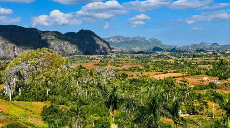 ICRISAT Brings Frontier Agricultural Science to the Caribbean in Landmark Partnership