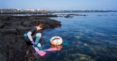 Heritage Of The Deep - The ‘haenyeo’ Women Divers Of Jeju Island, Republic Of Korea