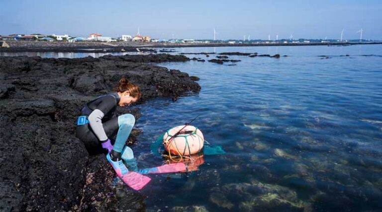 Heritage Of The Deep - The ‘haenyeo’ Women Divers Of Jeju Island, Republic Of Korea