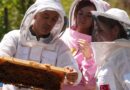 Buzz-Worthy opportunities