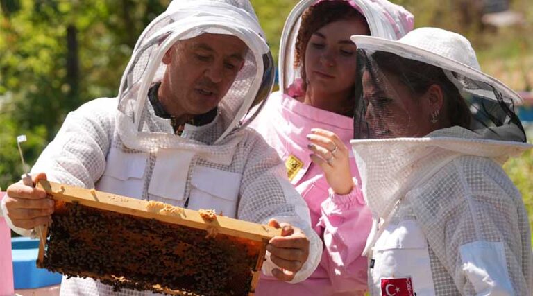 Buzz-Worthy opportunities