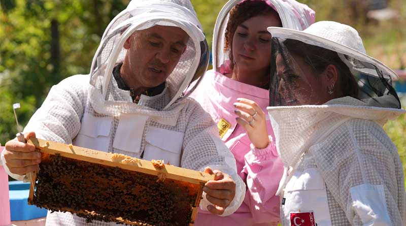 Buzz-Worthy opportunities