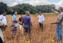 From data to impact: How Strategic Partnerships And Agronomic Insights Drive Smallholder Productivity
