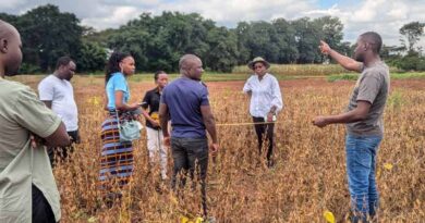 From data to impact: How Strategic Partnerships And Agronomic Insights Drive Smallholder Productivity