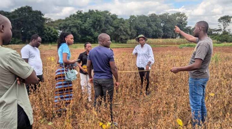 From data to impact: How Strategic Partnerships And Agronomic Insights Drive Smallholder Productivity