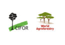 Zambia Launches Innovative Legal Hub to Strengthen Wildlife Conservation and Food Security