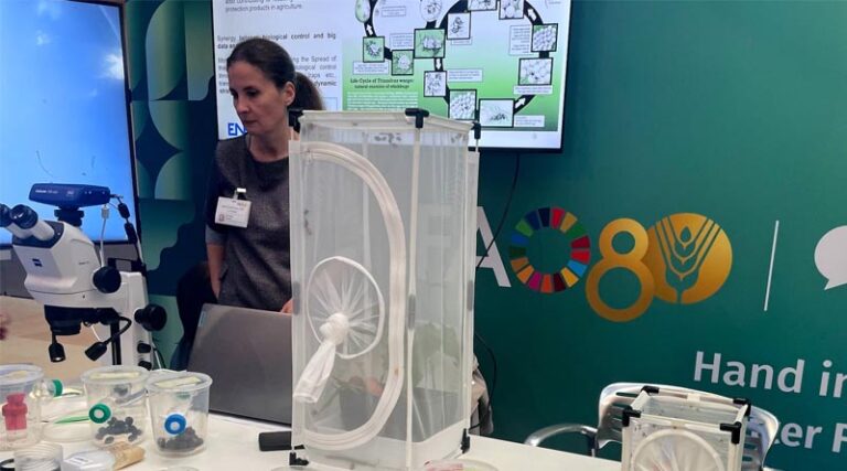 WFF 2025: FAO Director-General opens Science and Innovation Forum