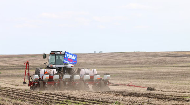 Trump’s Tariffs Against Brazil Are Illegal, but Remain in Effect Until Final Ruling in the US