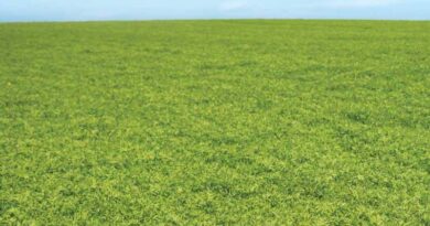 Haryana Government Always Stands With Farmers: Agriculture Minister Shyam Singh Rana