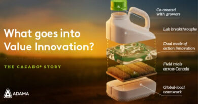 How the Cazado® Launch Embodies Value Innovation