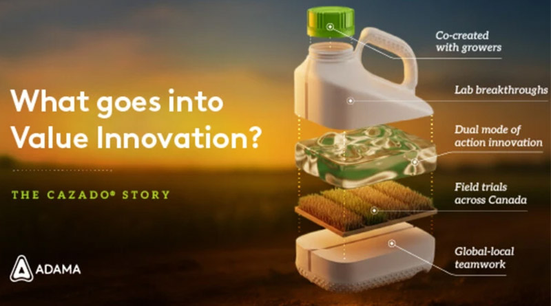 How the Cazado® Launch Embodies Value Innovation