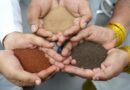 What Really Builds Healthy Soil?