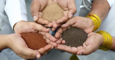 What Really Builds Healthy Soil?