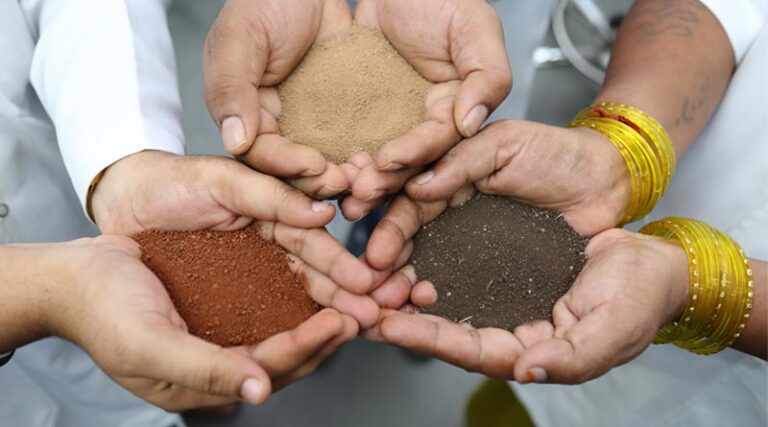 What Really Builds Healthy Soil?