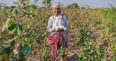 Indian Govt Opens Public Consultation on Draft Seeds Bill 2025; Targets Improved Access to High-Quality Seeds and Liberalise Seed Imports