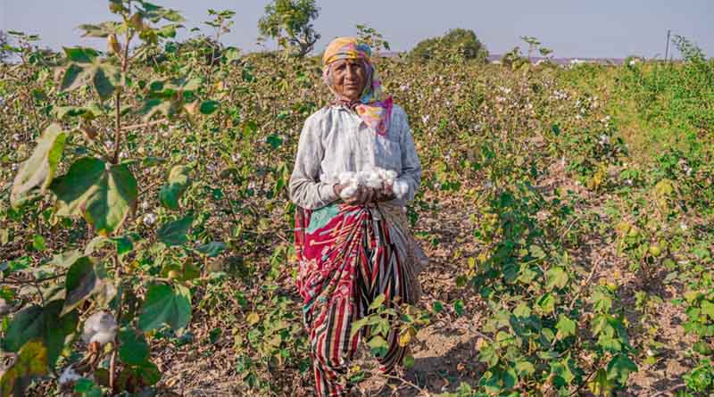 Indian Govt Opens Public Consultation on Draft Seeds Bill 2025; Targets Improved Access to High-Quality Seeds and Liberalise Seed Imports