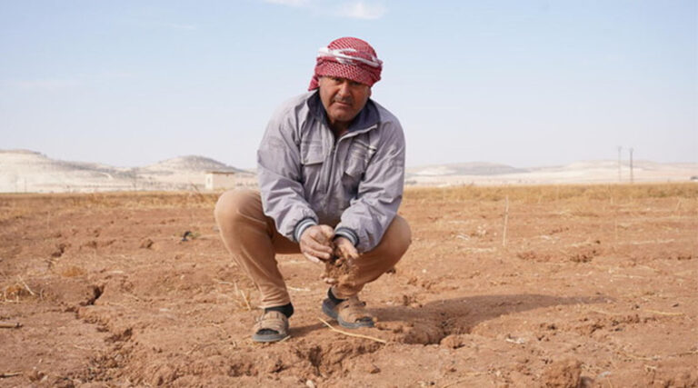 Global Agriculture Lost $3.26 Trillion to Disasters Since 1991, FAO Report Finds