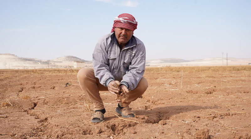 Global Agriculture Lost $3.26 Trillion to Disasters Since 1991, FAO Report Finds