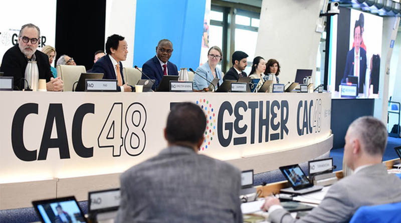 Codex Adopts Major GSFA Additive Updates, Reviewing Over 500 Provisions to Strengthen Global Food Safety