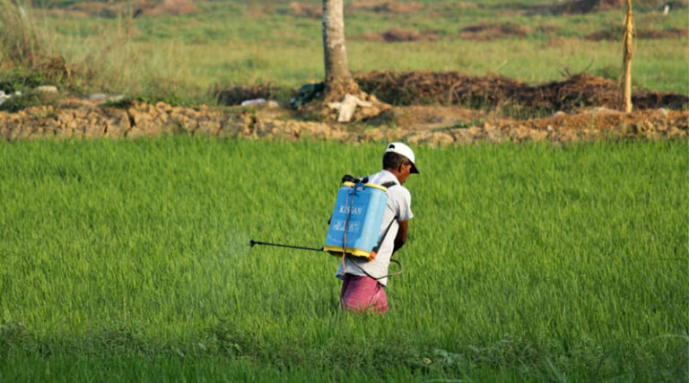 PMFAI Raises Concerns Over Renewed Push for Regulatory Data Protection in Agrochemicals